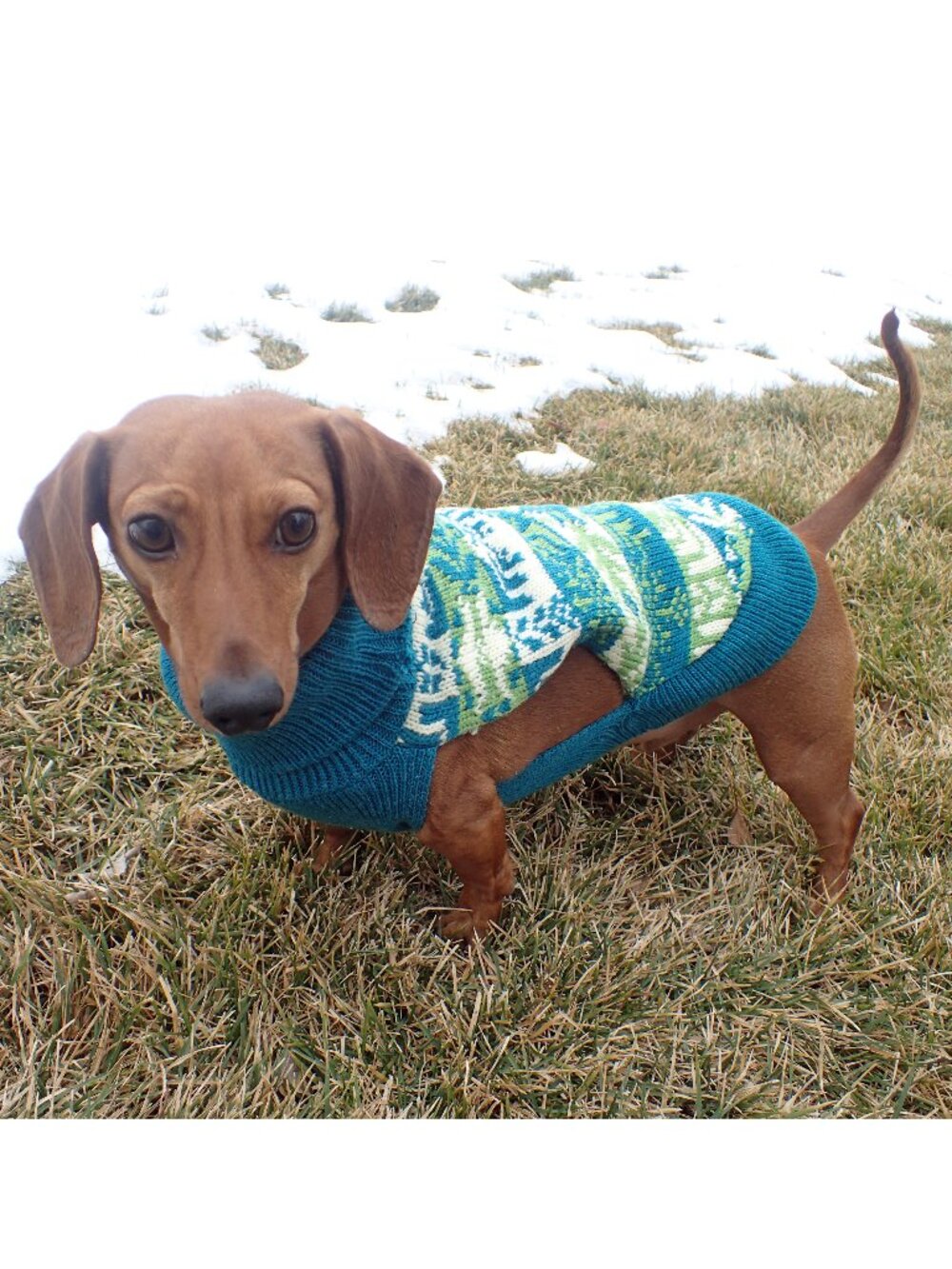 NWT size SMALL dog NEW sweater WORLD MARKET knit pet fair isle teal warm cute
